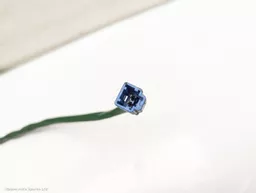 532bbd50-892a-4cf5-85ee-072d533805d3.jpeg?