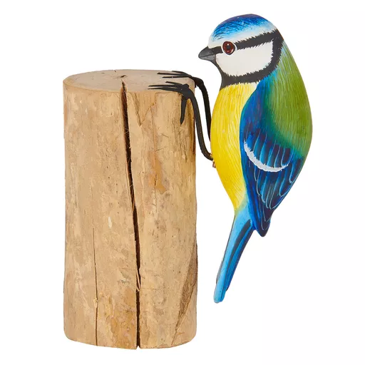 Blue Tit Pecking.jpg