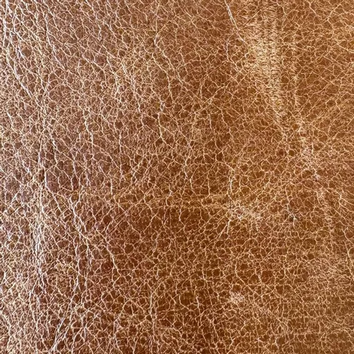 1745663033-71129500.jpg?