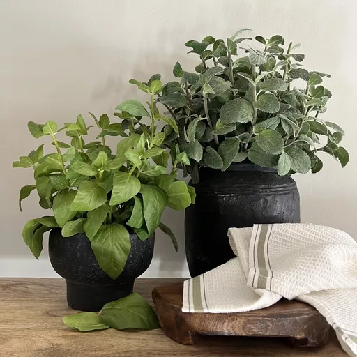 Mint in Matt Black Stone Planter