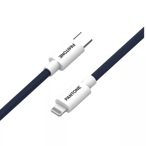 Pantone USBC Light Cable