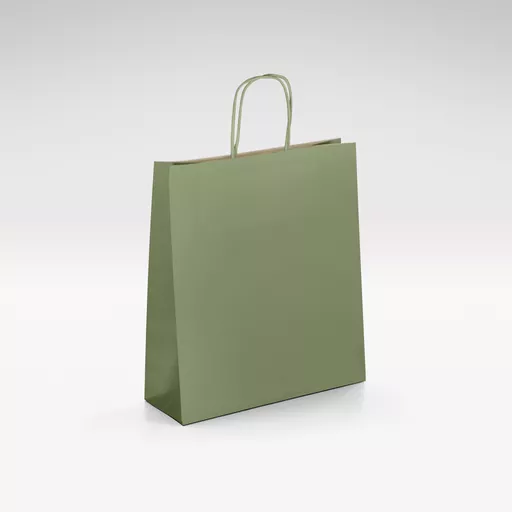 Natural-kraft-green-twist-handles-bag-Small.jpg