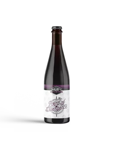 Magnify Brewing - Point of Divergence