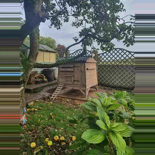 Grand Chalet Hen House
