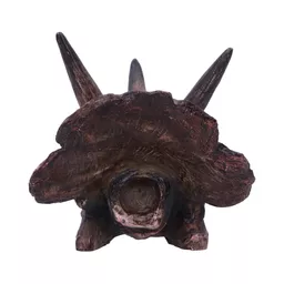 Triceratops - 14 (5).jpg