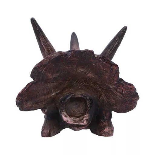 Triceratops - 14 (5).jpg