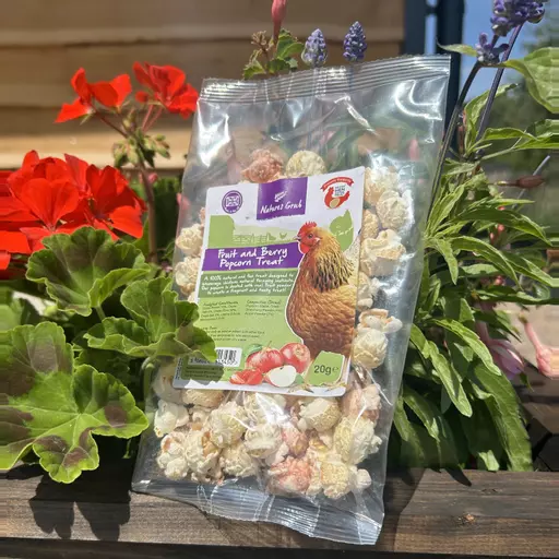 Popcorn Treat (20g)