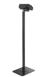 8X1mWC55LUiJJKK1nHNIMQ.c-r.jpg?