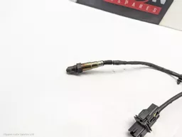 61991ed5-6adf-4a9c-88ea-7fd99492aa06.jpeg?