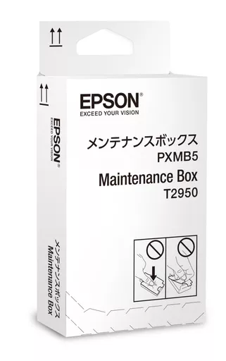 Epson C13T295000/T2950 Maintenance-kit, 50K pages for Epson WF-100 W