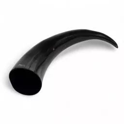 X-Large Drinking Horn 4.jpg