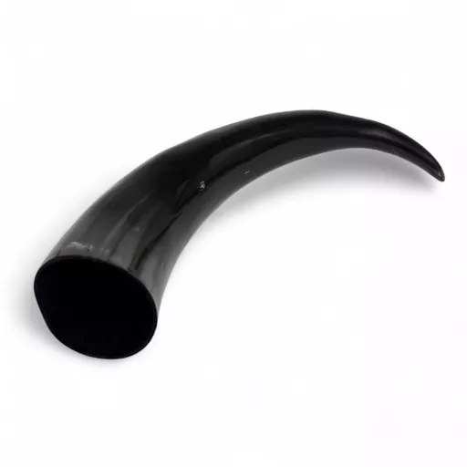 X-Large Drinking Horn 4.jpg