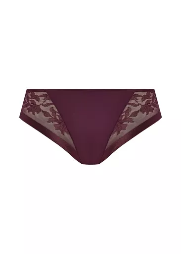 Fantasie Illusion Briefs clsoe up.jpg
