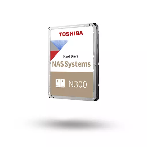 Toshiba N300