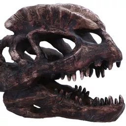 Dilophosaurus Skull (5).jpg