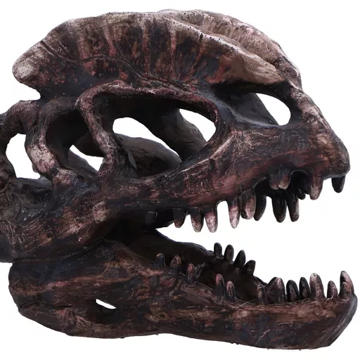Dilophosaurus Skull (5).jpg