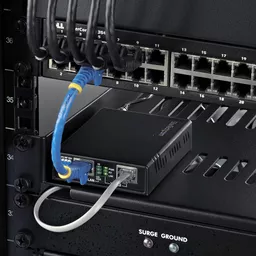 6q5229_ijEumwRRbyRJ7MA.c-r.jpg?