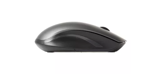 Rapoo 7200M mouse Ambidextrous RF Wireless + Bluetooth Optical 1600 DPI