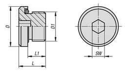 K1102-Screw-plugs-with-hexagon-socket-Drawing_1200x1200.jpg?