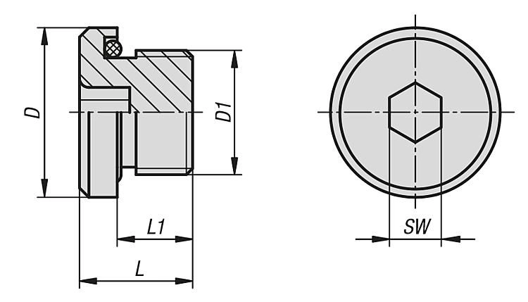Screw Plug Without Vent. 1/8