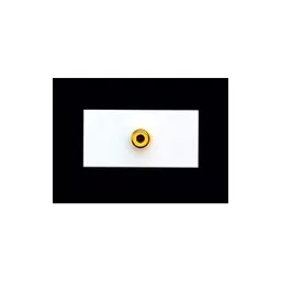 rsz_0_800_39578_white_yellow_phono_euro_module.jpg?