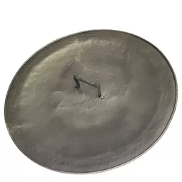 Trojan Shield 2.jpg