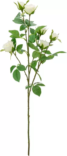 IT393839.jpg