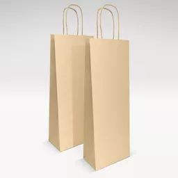 Natural-kraft-unprinted-twist-handles-bag-GROUP.jpg