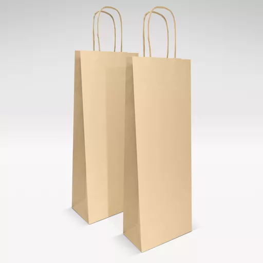 Natural-kraft-unprinted-twist-handles-bag-GROUP.jpg