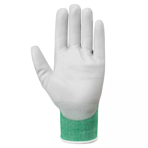pg561-front-of-glove_1_.png?