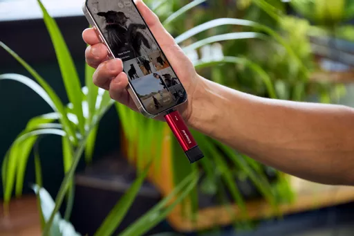 WDb-AKTrlkaVOLAm1hD5qA.c-r.jpg?