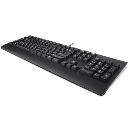 Lenovo 4X30M86917 keyboard Office USB QWERTY UK English Black