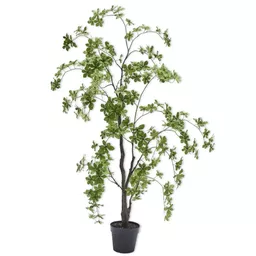 Screenshot 2026-01-28 at 12.26.19.png