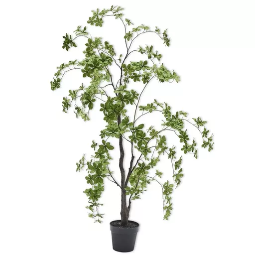 Screenshot 2026-01-28 at 12.26.19.png