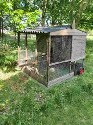 Full Size Penthouse Chicken House