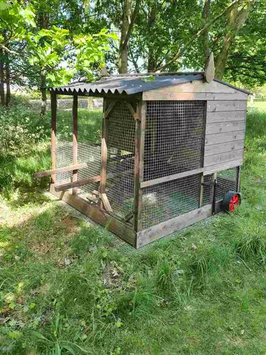 Full Size Penthouse Chicken House