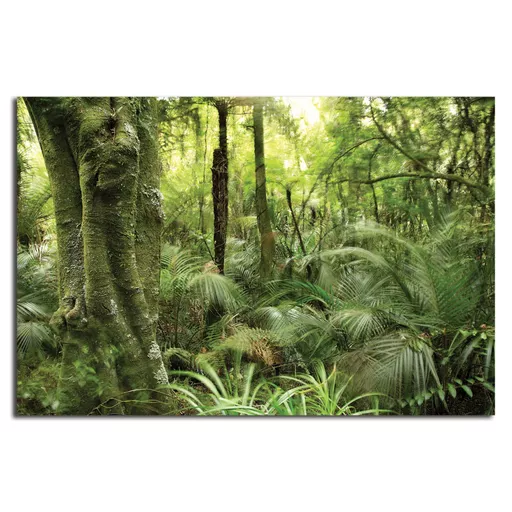 Rainforest - Backdrop.jpg