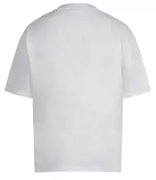 AM19%20WDW%20BACK.jpg?