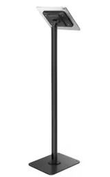 qXC4WDLcNUmFLa04dnhrGQ.c-r.jpg?