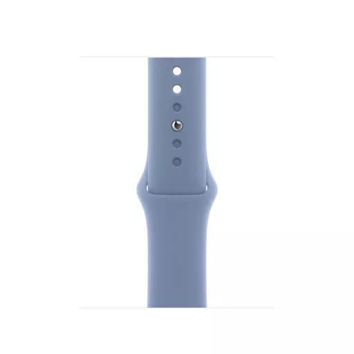 Apple MT363ZM/A Smart Wearable Accessories Band Blue Fluoroelastomer