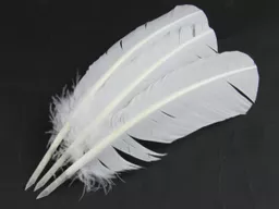 Feathers Hand Cut.jpg