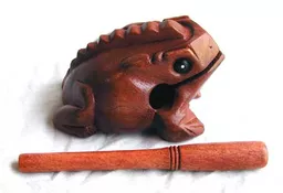 as_117_frog4.5.jpg