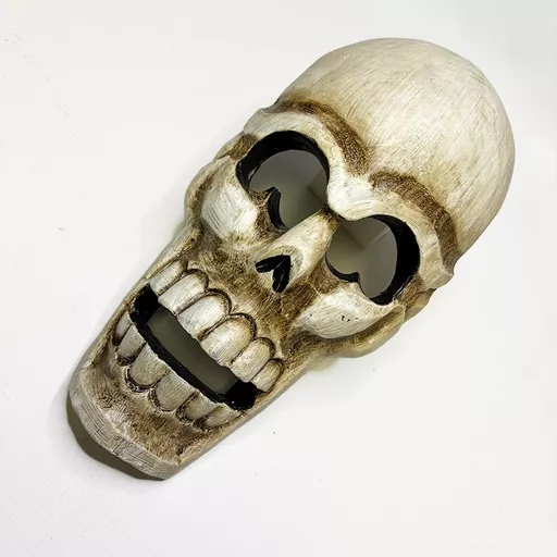 Skull Mask 1.jpg