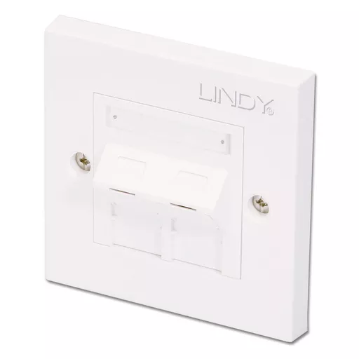 Lindy CAT6 Single Wall Plate with 2 x Angled RJ-45 Shuttered Socket, Unshielded
