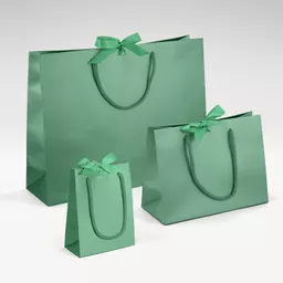 Forest Green Luxury Bag GROUP.png