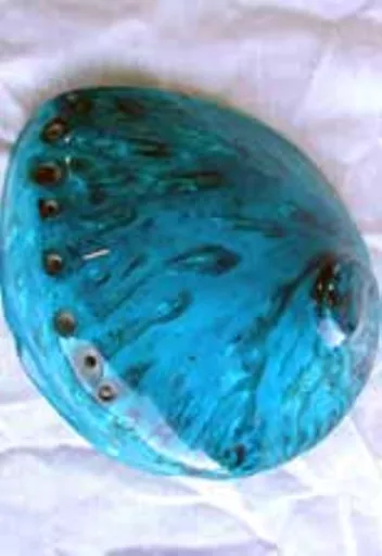 https://starbek-static.myshopblocks.com/images/tmp/se_186_pol_abalone.jpg