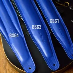 gs61 bs63 bs64 cobalt blue DSC_0628 anno.jpg