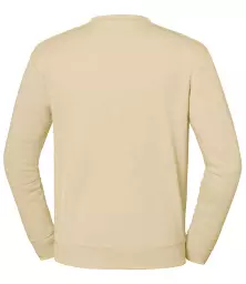 SS151%20DSN%20BACK.jpg?