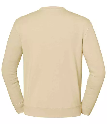 SS151%20DSN%20BACK.jpg?