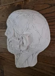 ets_mc_301_head_5.jpg